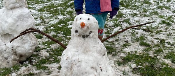 Sneeuwval en hoopvolle knoppen