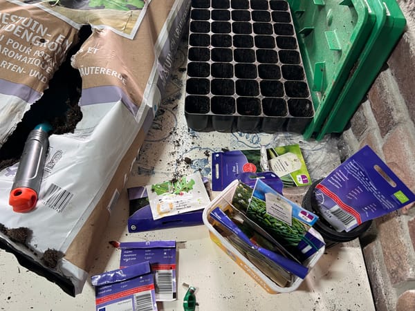 Meer doen met wat je hebt